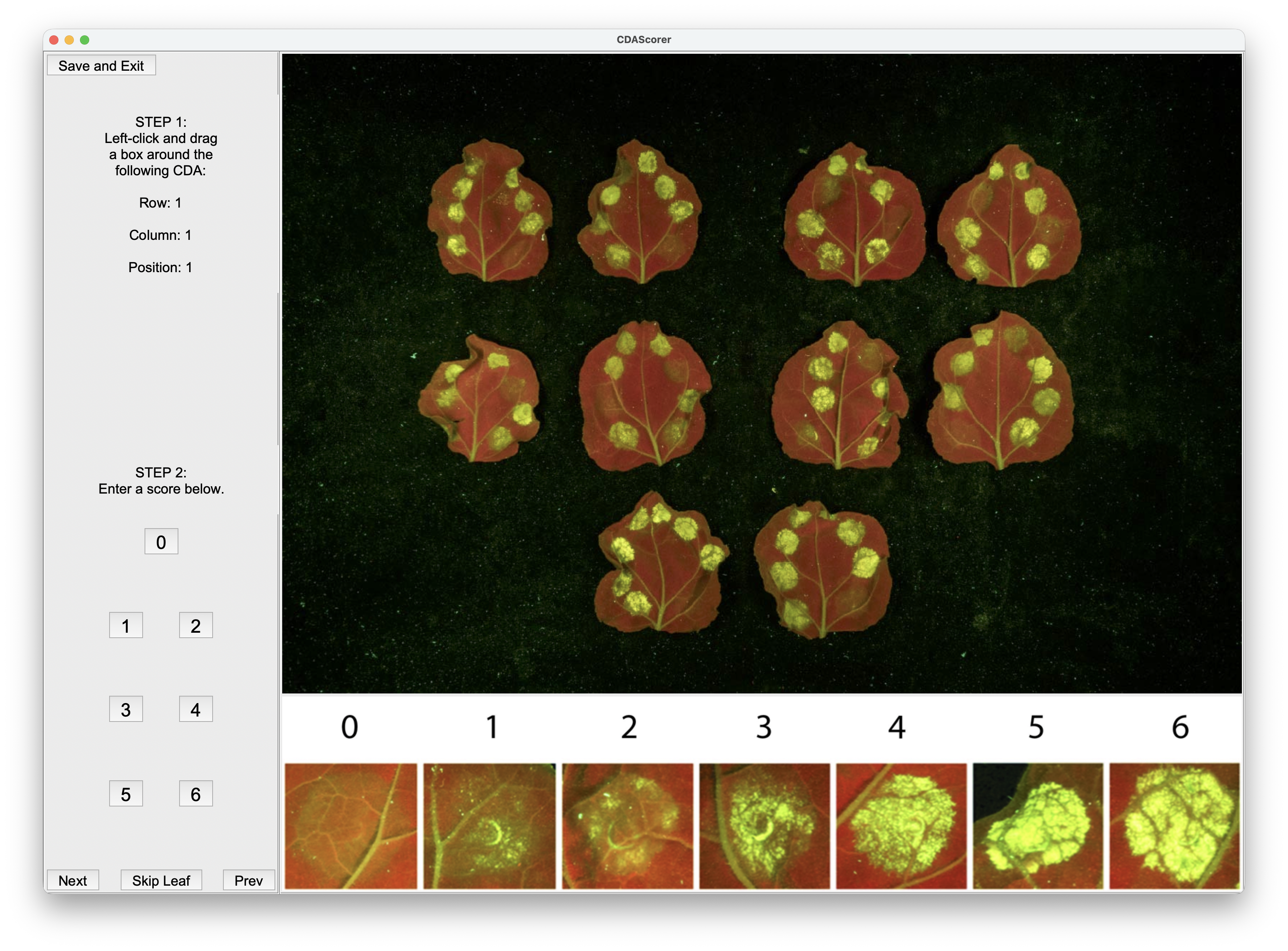Annotation screen