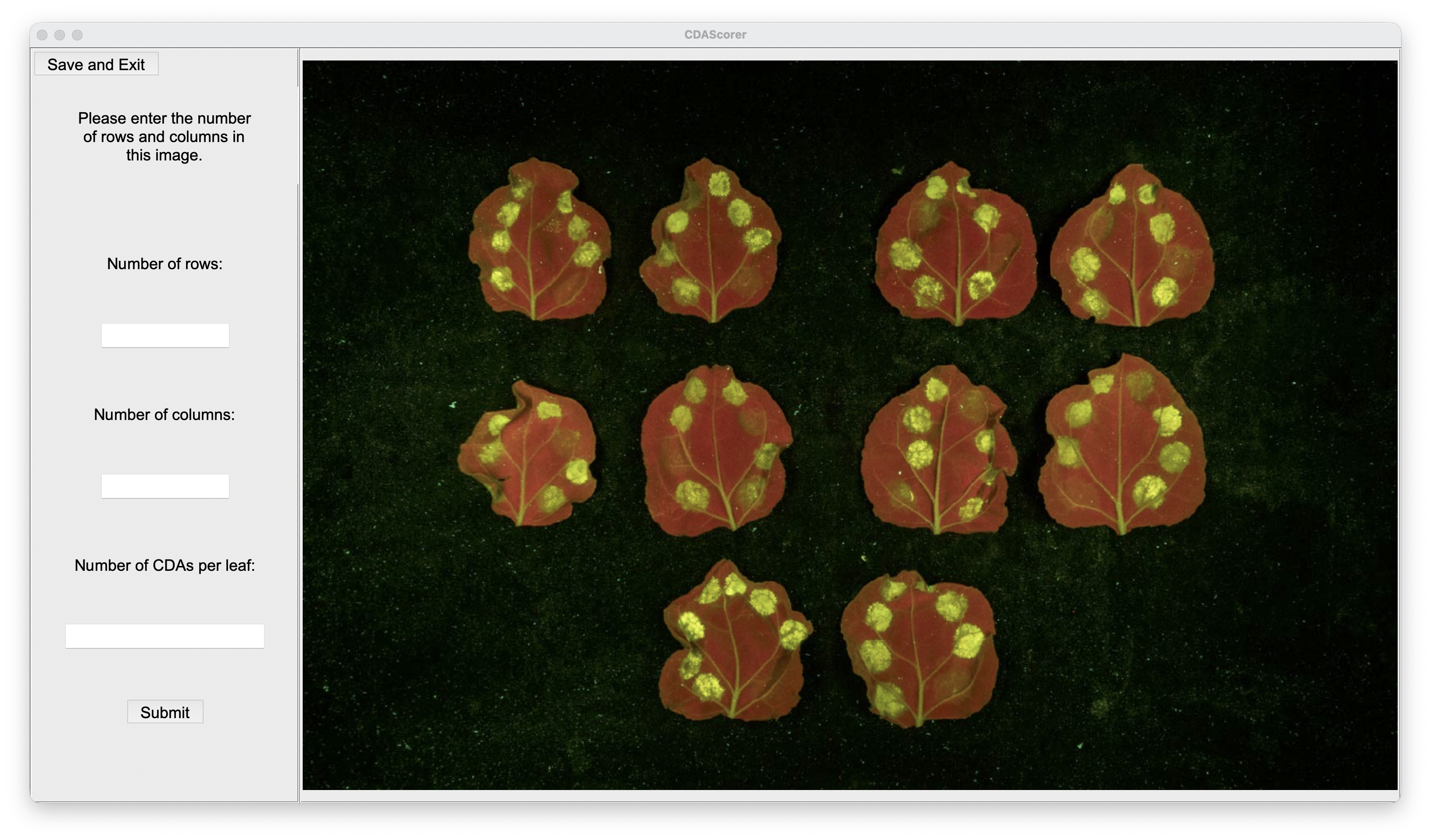 Layout entry screen
